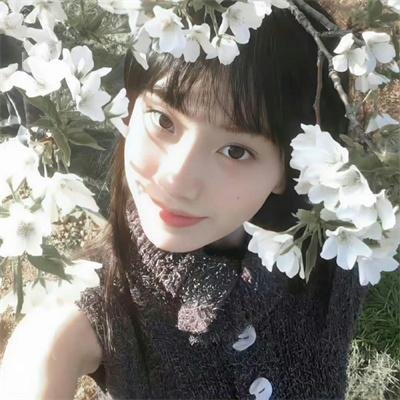 狼少女与黑王子2014 封面